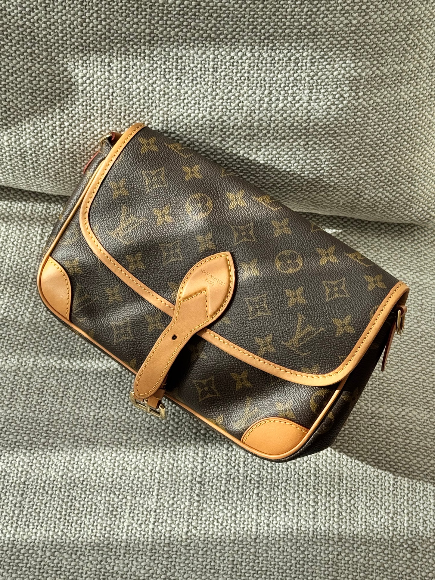 Louis Vuitton Diane Monogram Shoulder & Crossbody Bag