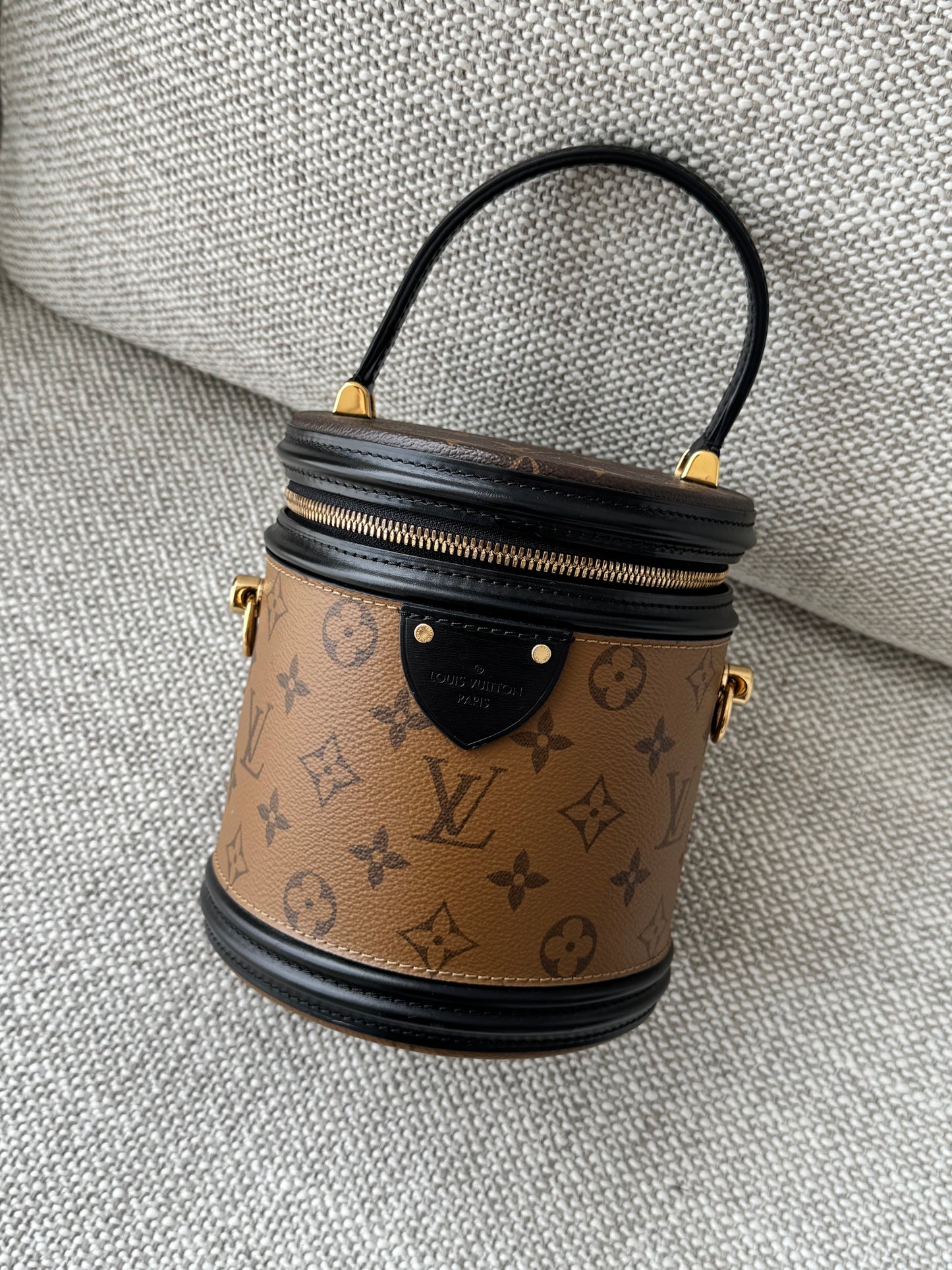 Louis Vuitton Cannes Reverse Monogram Canvas Vanity Bag