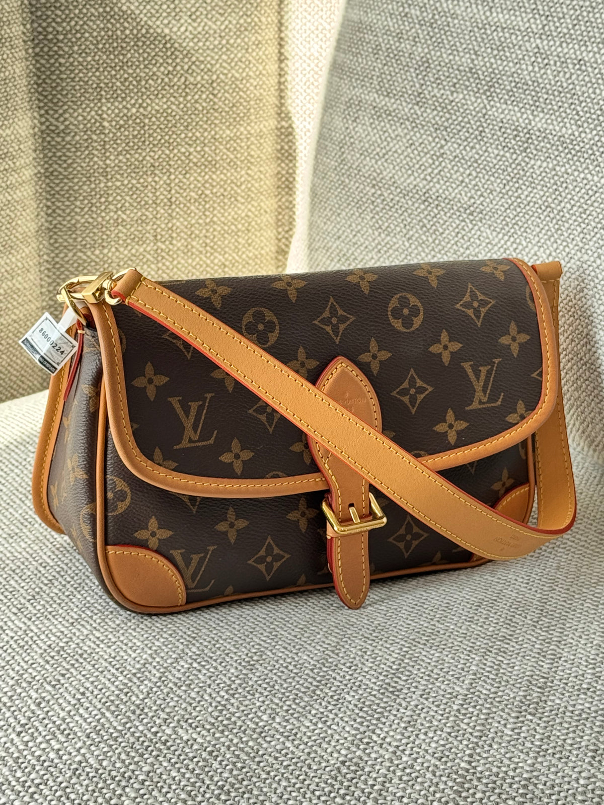 Louis Vuitton Diane Monogram Shoulder Bag