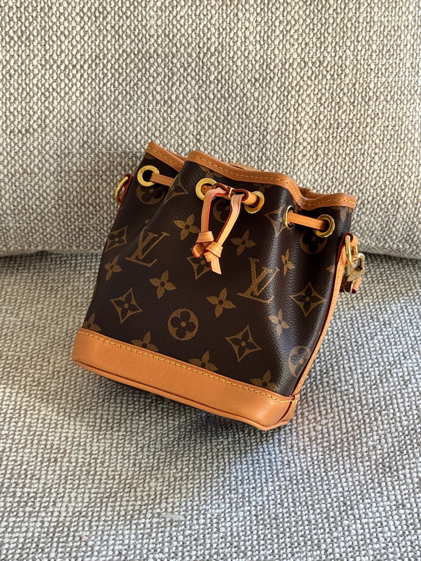 Louis Vuitton Monogram Nano Noé Bucket Bag
