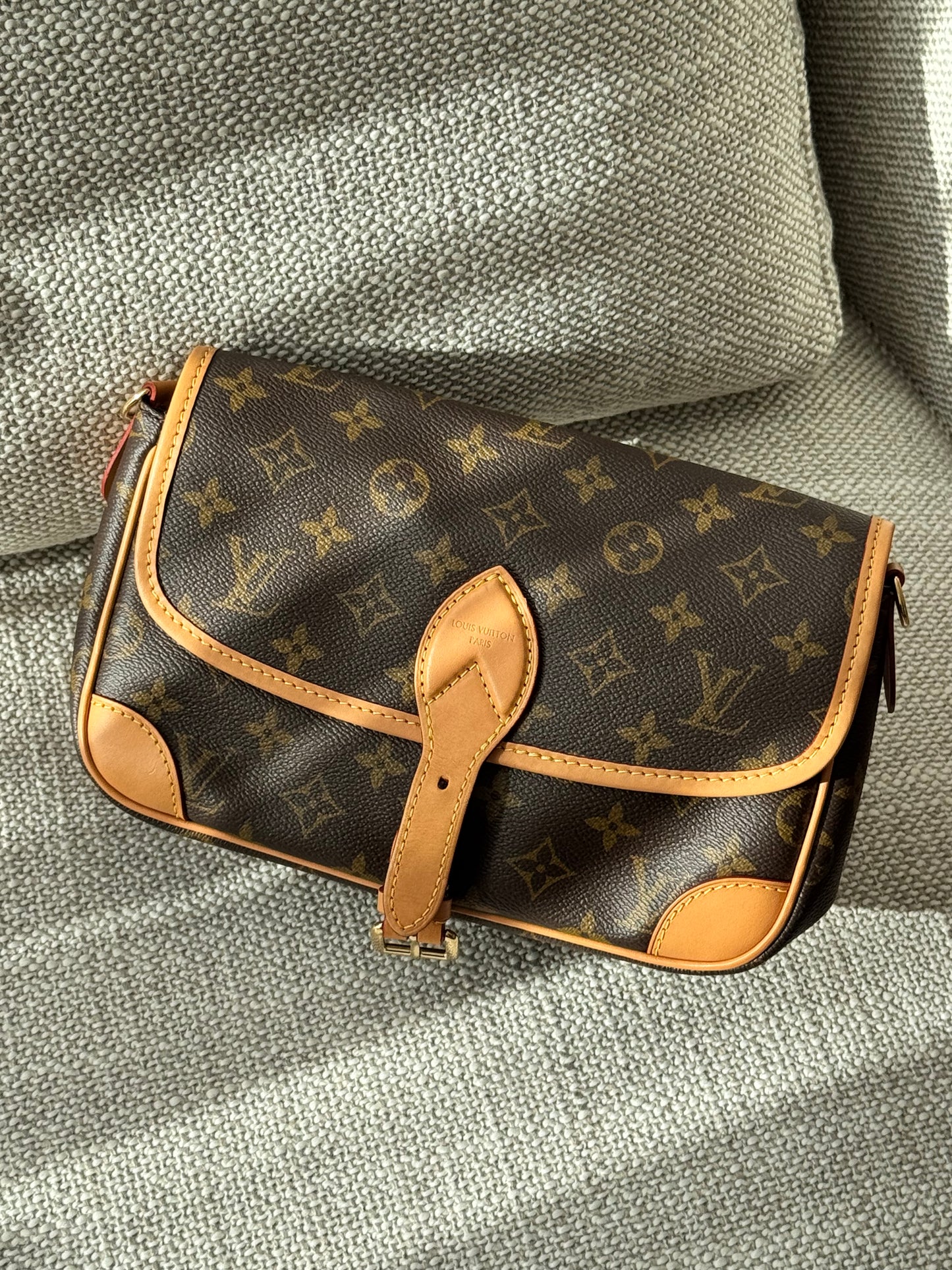 Louis Vuitton Diane Monogram Shoulder & Crossbody Bag