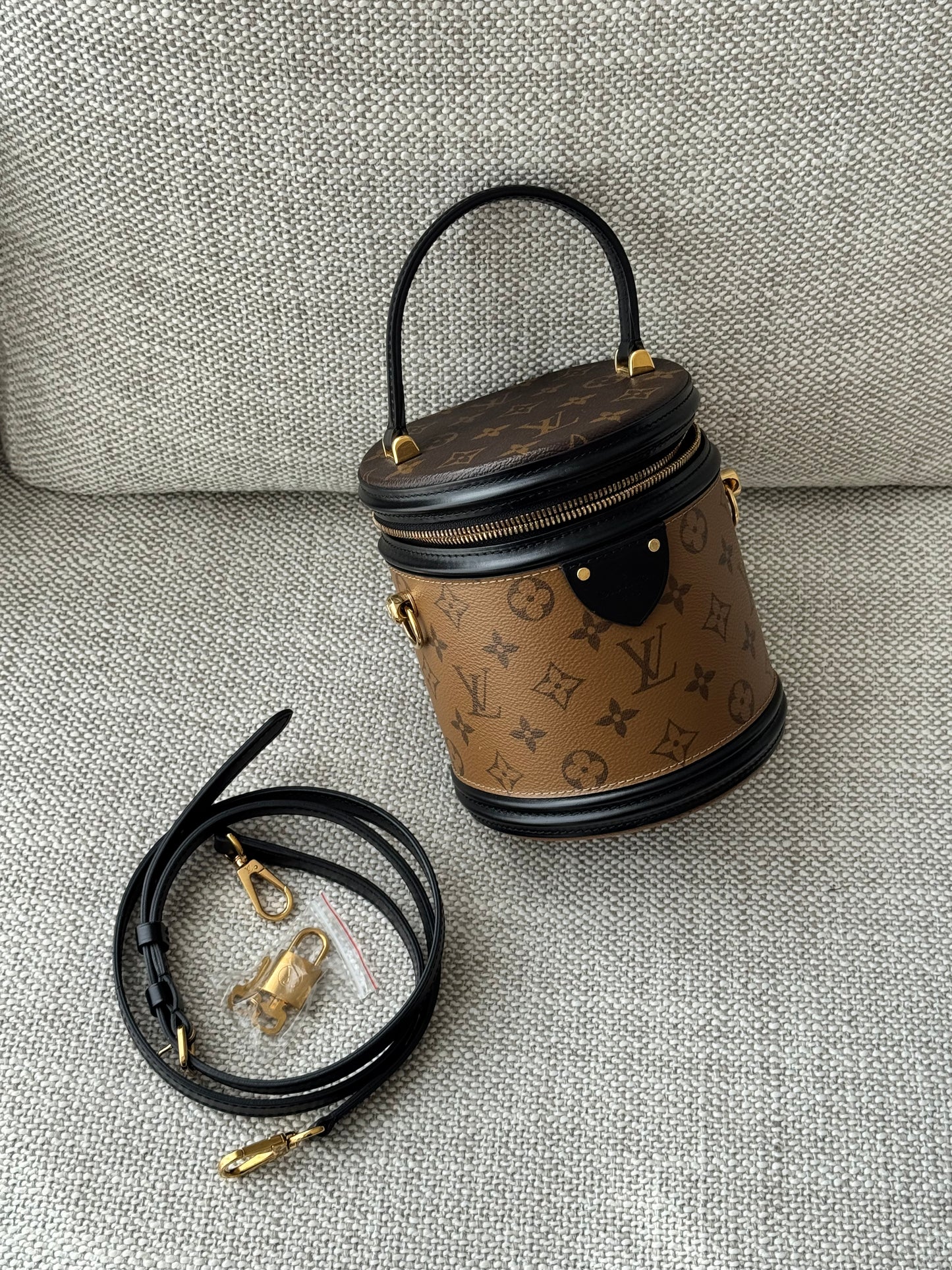 Louis Vuitton Cannes Reverse Monogram Canvas Vanity Bag