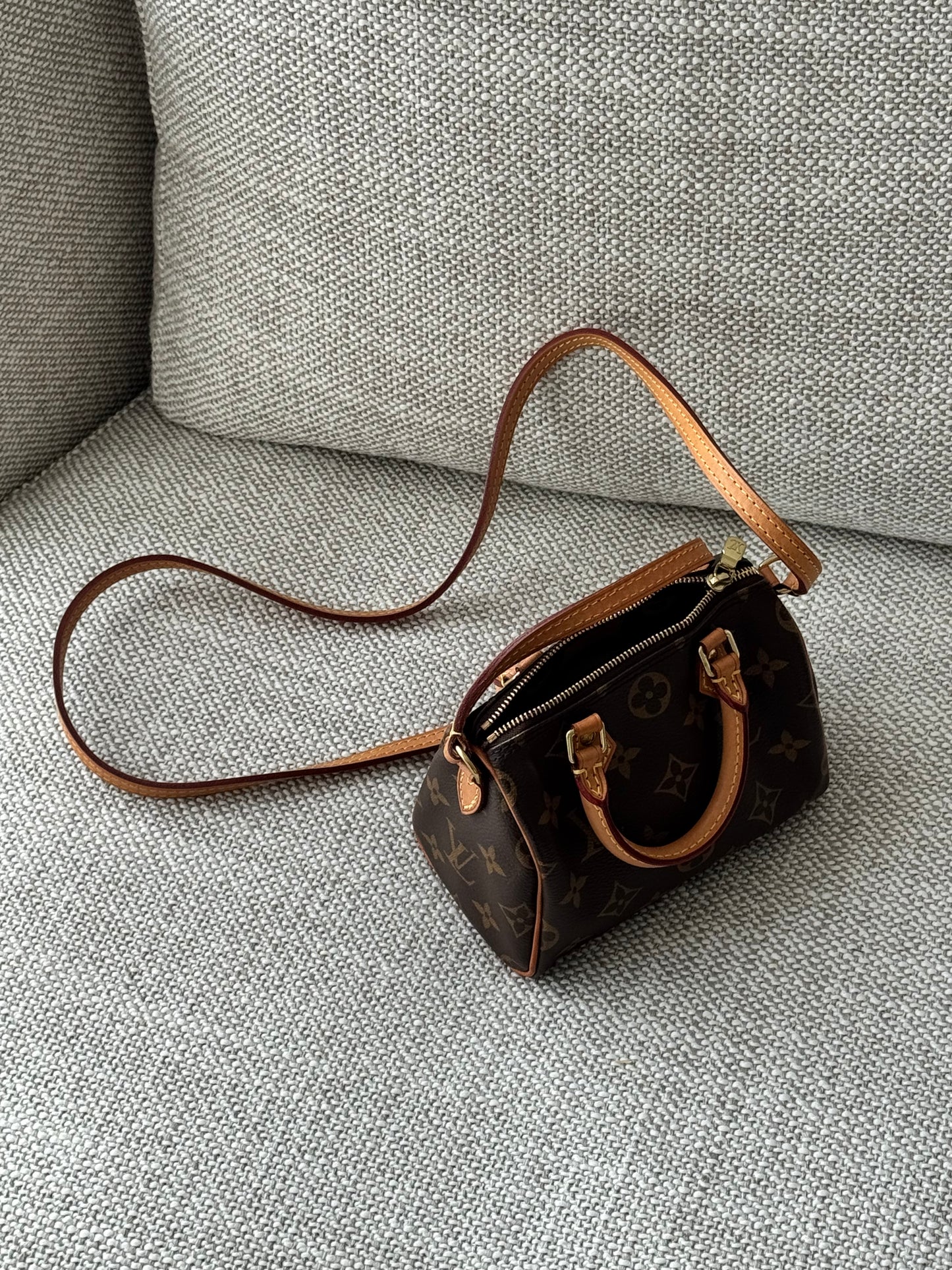 Louis Vuitton Nano Speedy Monogram Canvas