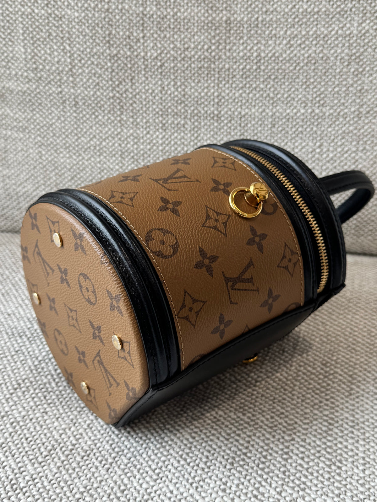 Louis Vuitton Cannes Monogram Reverse Vanity Bag