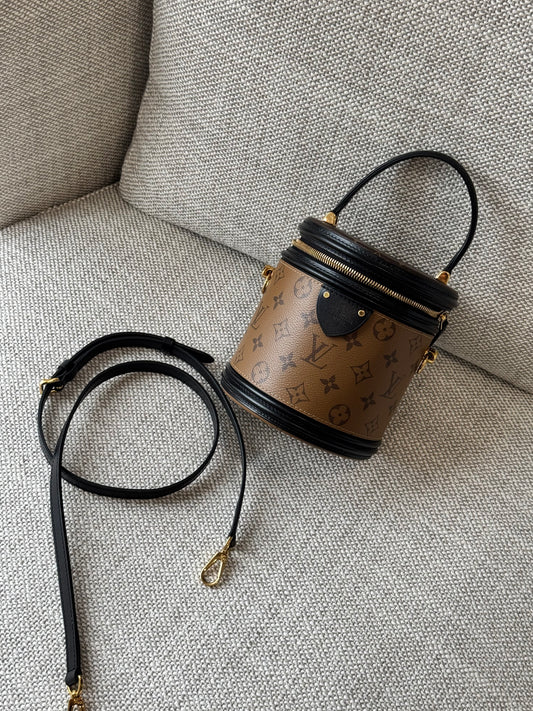 Louis Vuitton Cannes Monogram Reverse Vanity Bag