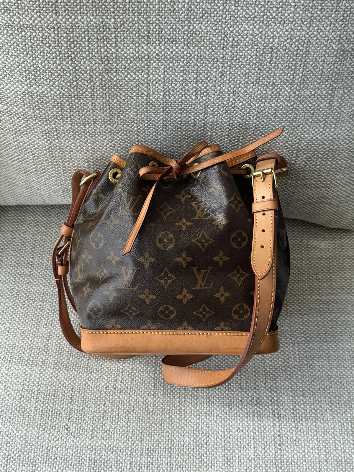 Louis Vuitton Petit Noé – Monogram Canvas