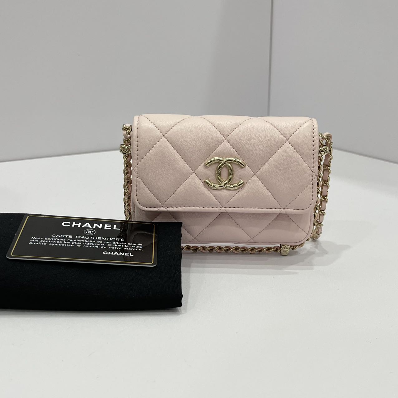 Chanel 22s Mini Wallet With Chain Pink GHW